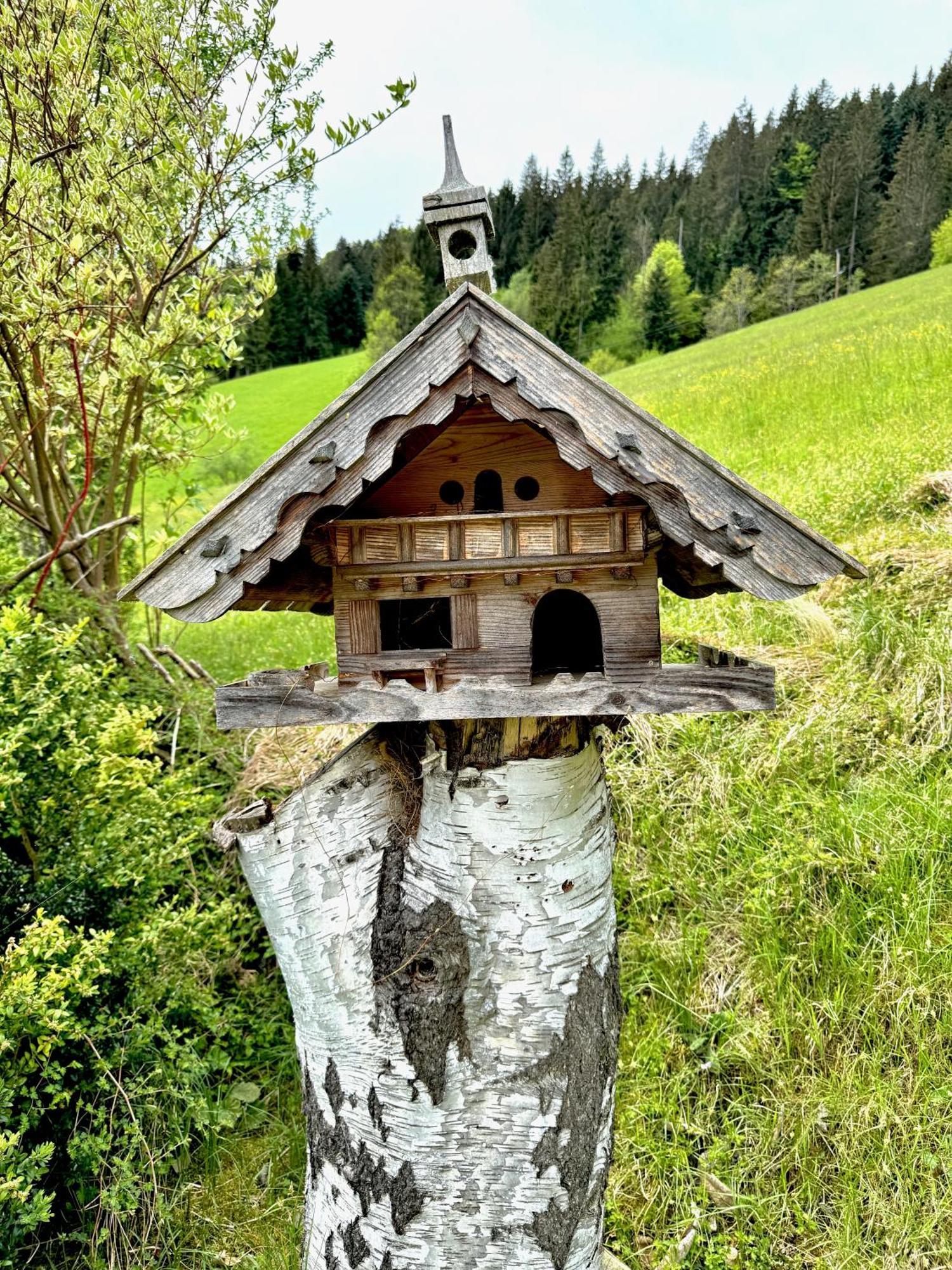 5* Panorama Chalet Mit Sauna By Belle Stay Going am Wilden Kaiser Dış mekan fotoğraf